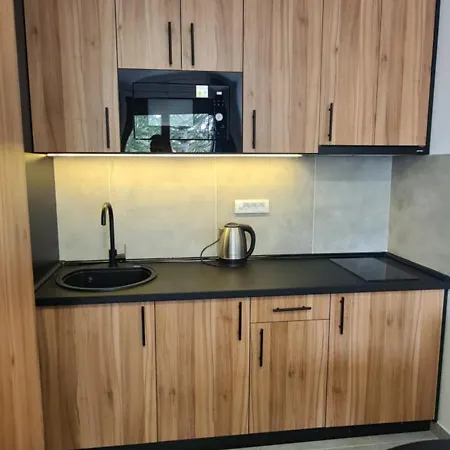 Harmony Wellness&spa Sa Garaznim Mestom Apartment Zlatibor