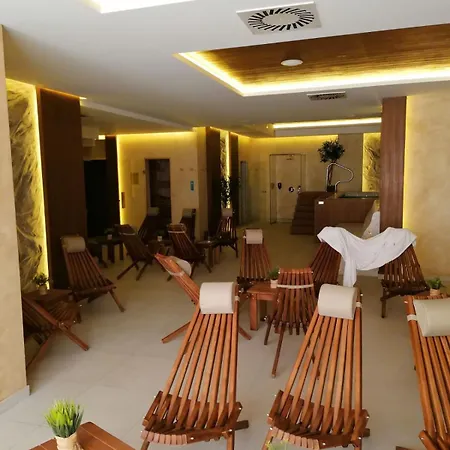 Harmony Wellness&spa Sa Garaznim Mestom *