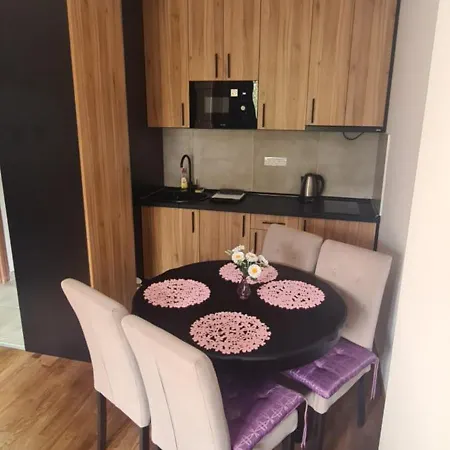 Lägenhet Harmony Wellness&spa Sa Garaznim Mestom Zlatibor