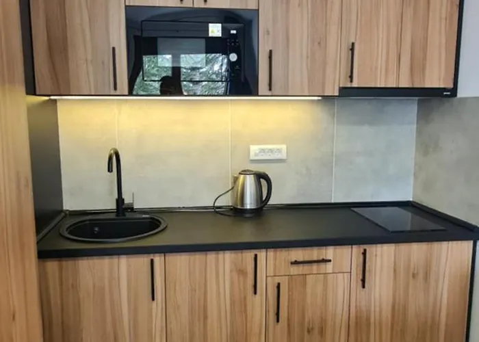 Harmony Wellness&spa Sa Garaznim Mestom Apartment Zlatibor