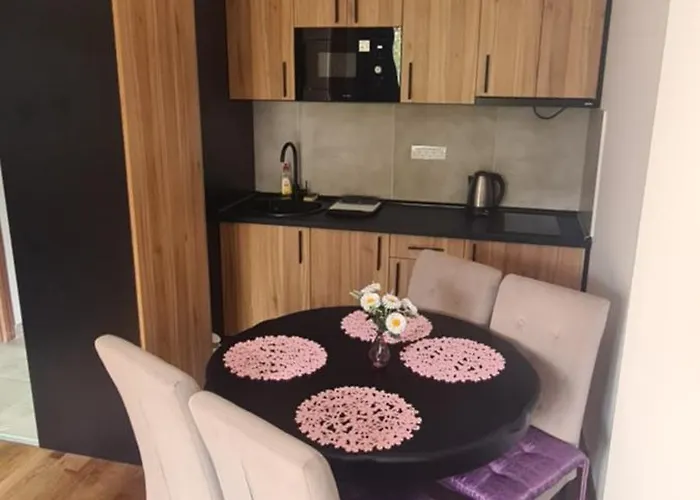 Apartment Harmony Wellness&spa Sa Garaznim Mestom Zlatibor